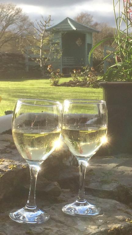 Garth Engan Private Self Contained B&B With Garden Area Llanbedr  Buitenkant foto