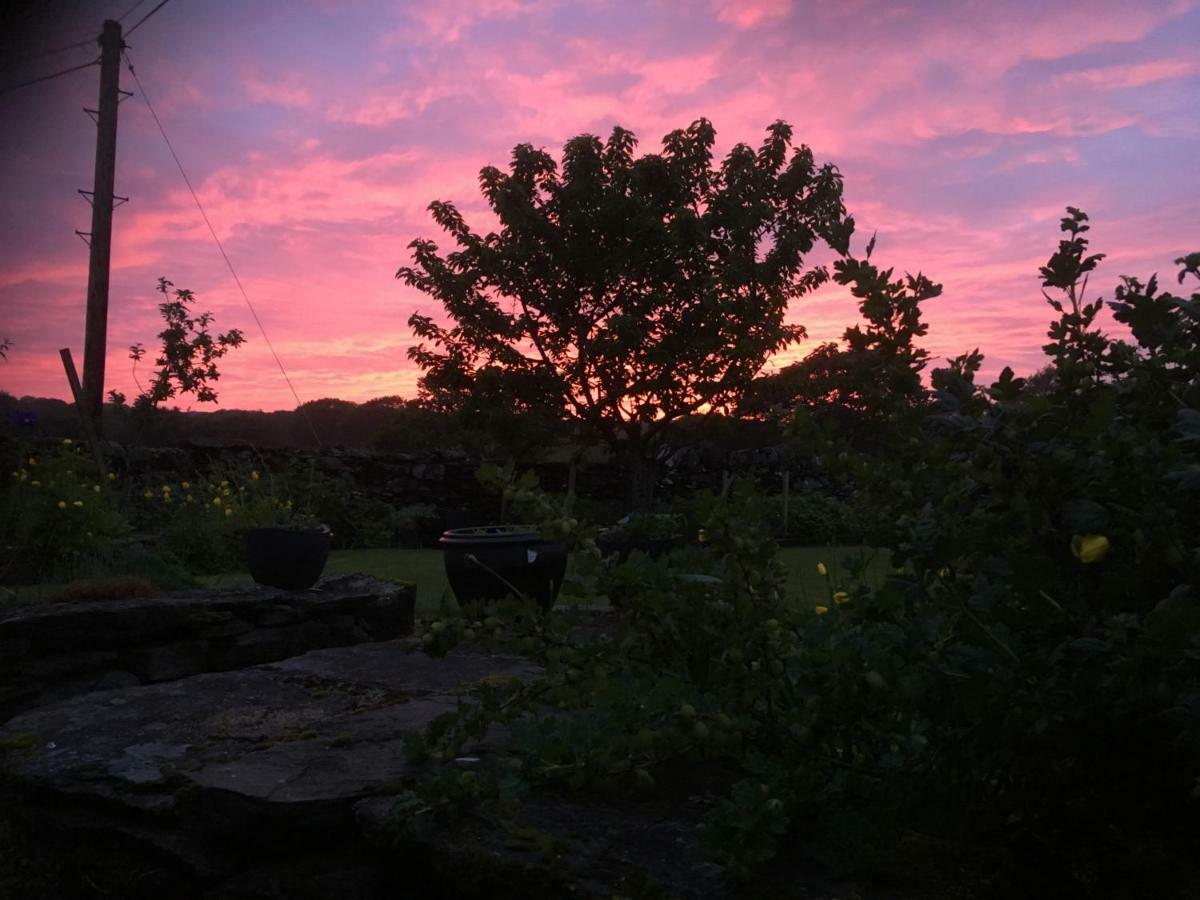 Garth Engan Private Self Contained B&B With Garden Area Llanbedr  Buitenkant foto